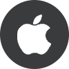 Software Services